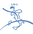 ILM-IT logo